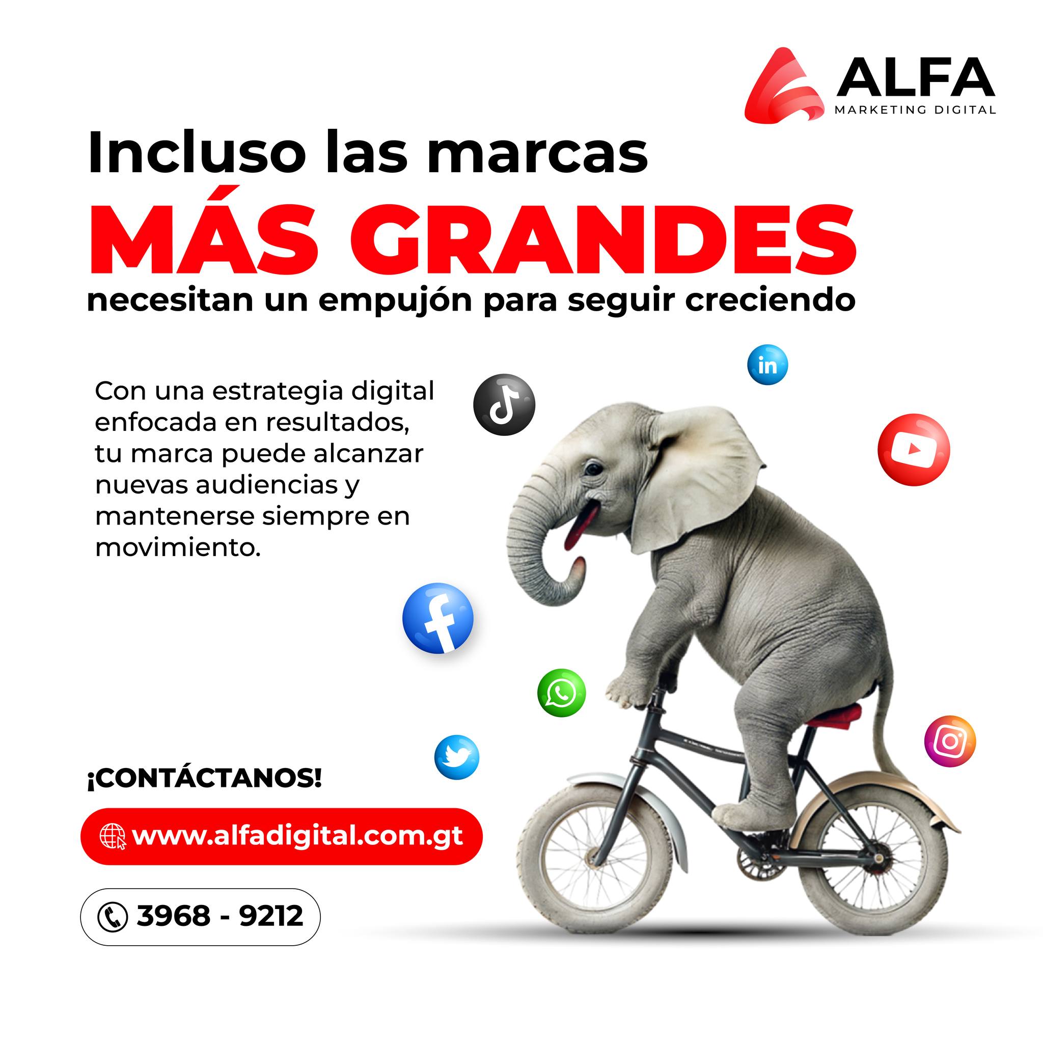 543375147_1119590120310007_1542339800187197748_n